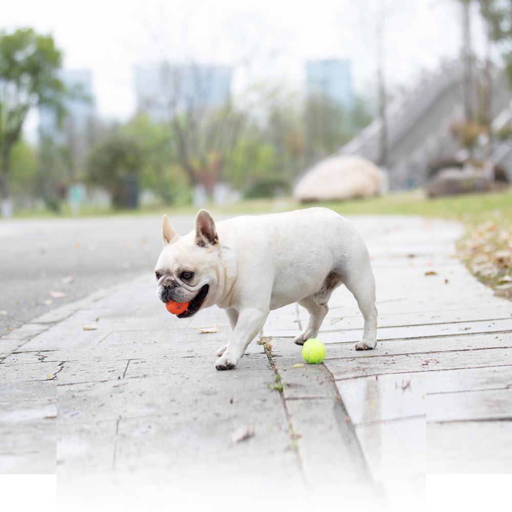 Balles WIGGLYTAIL pour jeu interactif chien favorisant l’exercice.