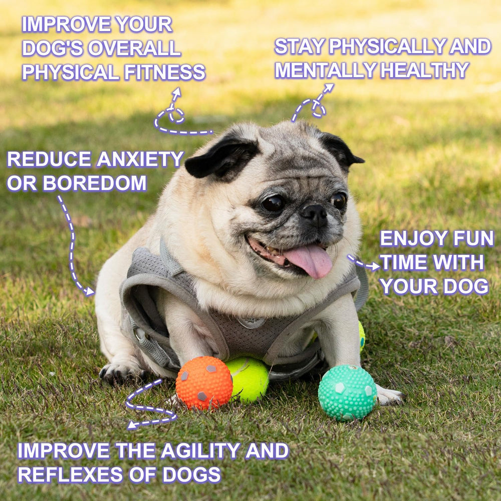 Balles WIGGLYTAIL latex 2 pouces destinées aux chiots pour jeux interactifs.