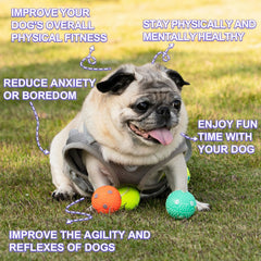 Balles WIGGLYTAIL latex 2 pouces destinées aux chiots pour jeux interactifs.