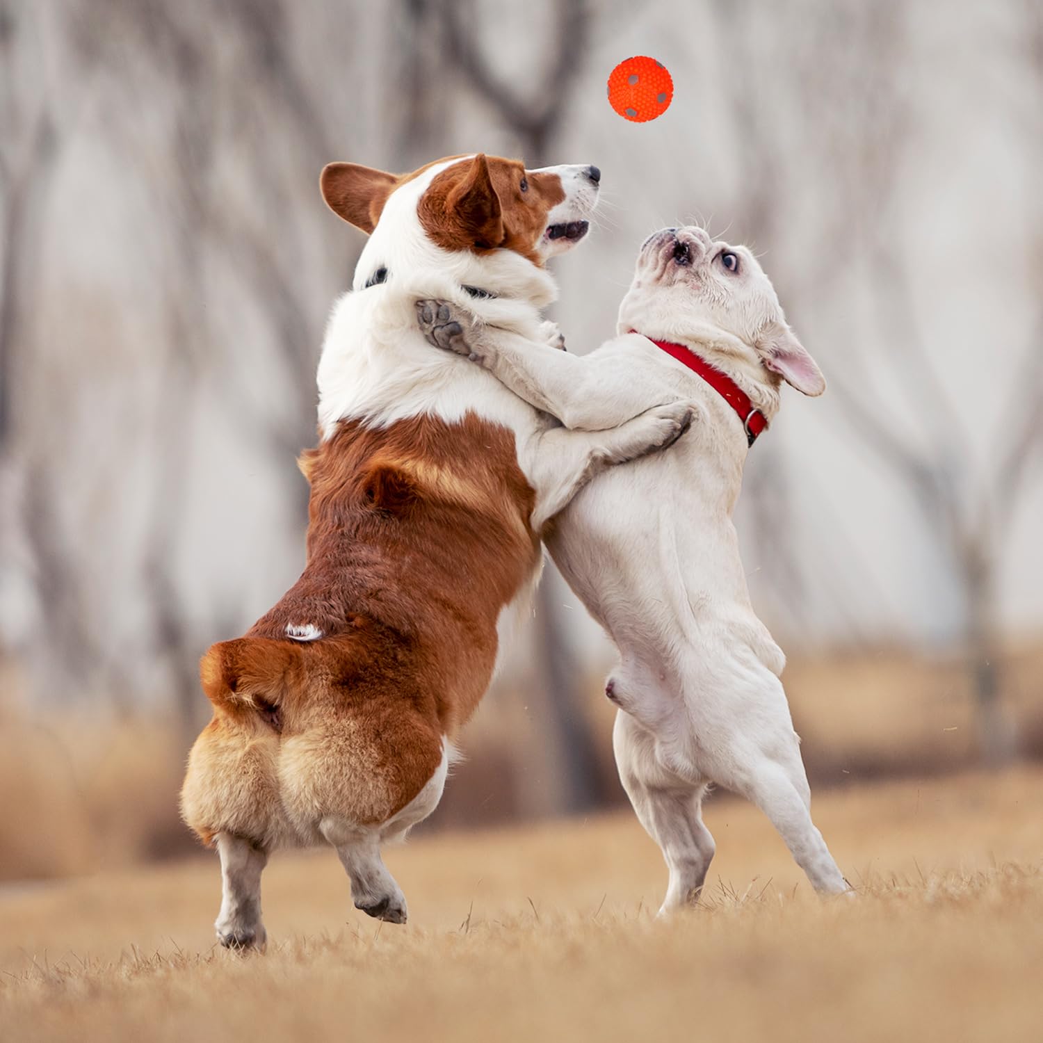 WIGGLYTAIL pack de 9 balles, qualité durable et utilisation répétée.