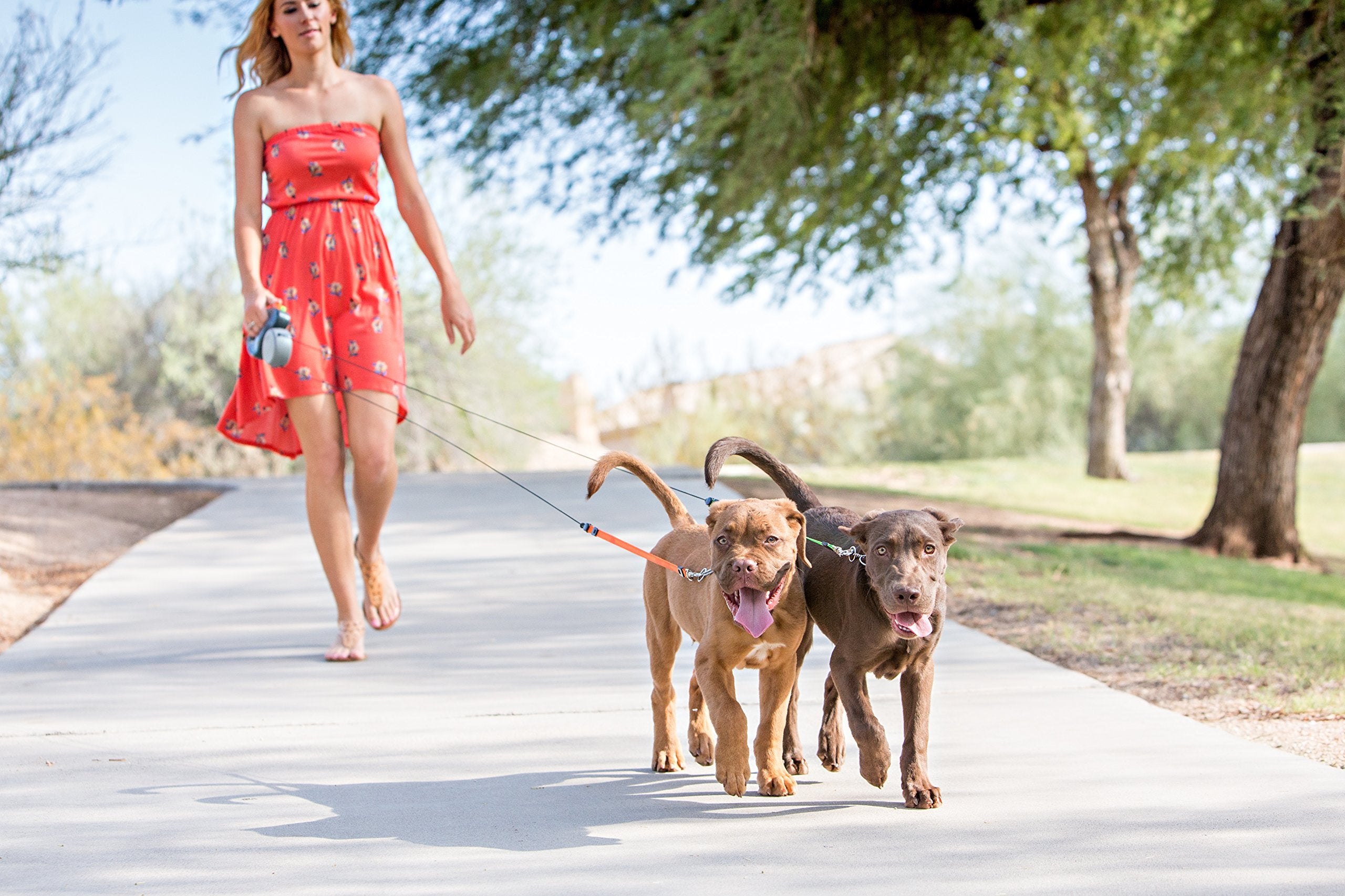 Idéal comme cadeau pour propriétaires de chiens multiples.