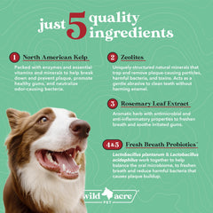 Wild Acre Poudre Dentaire-Chien doseur: dosage précis pour une utilisation facile