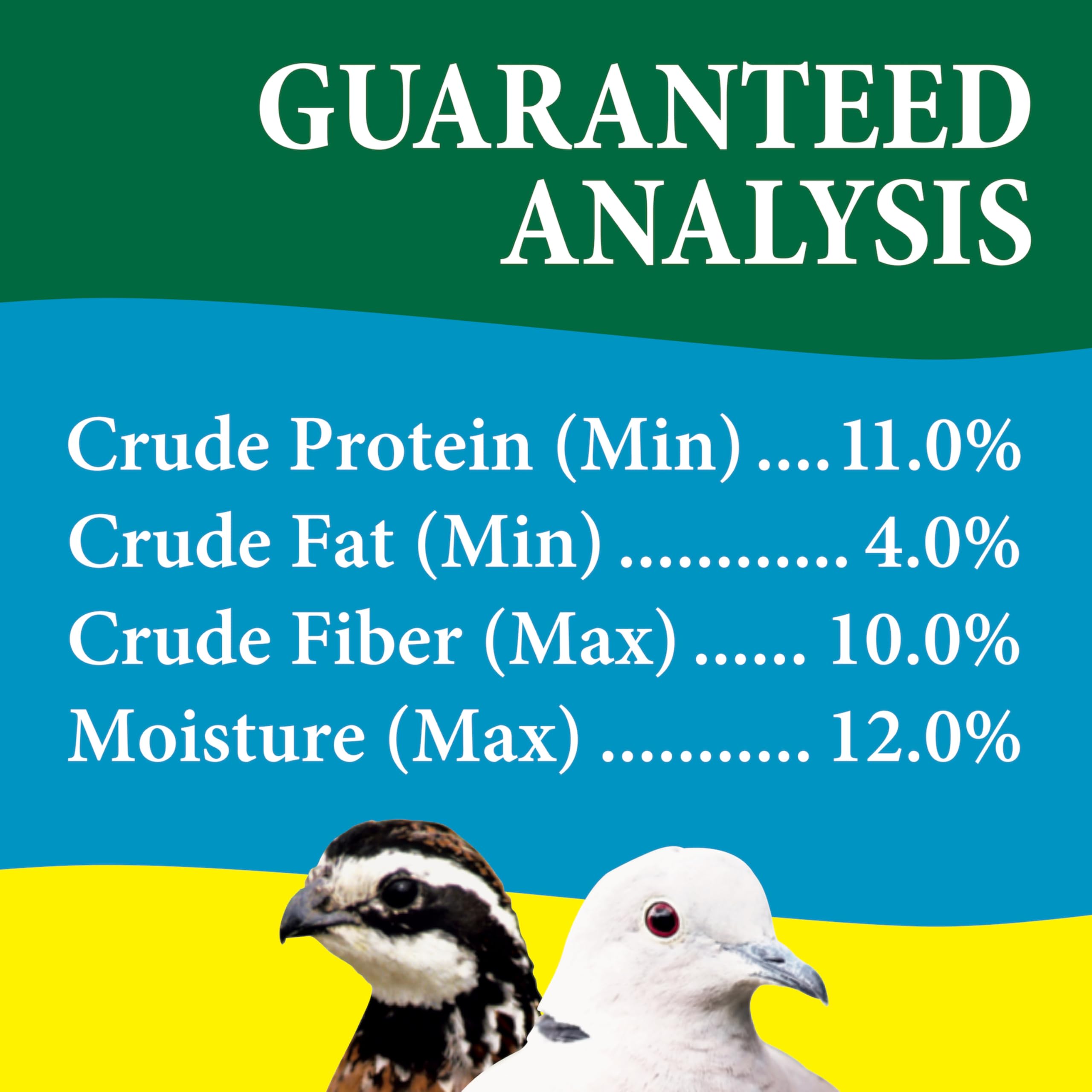 Wild Delight favorise une présence paisible d'oiseaux dans le jardin.