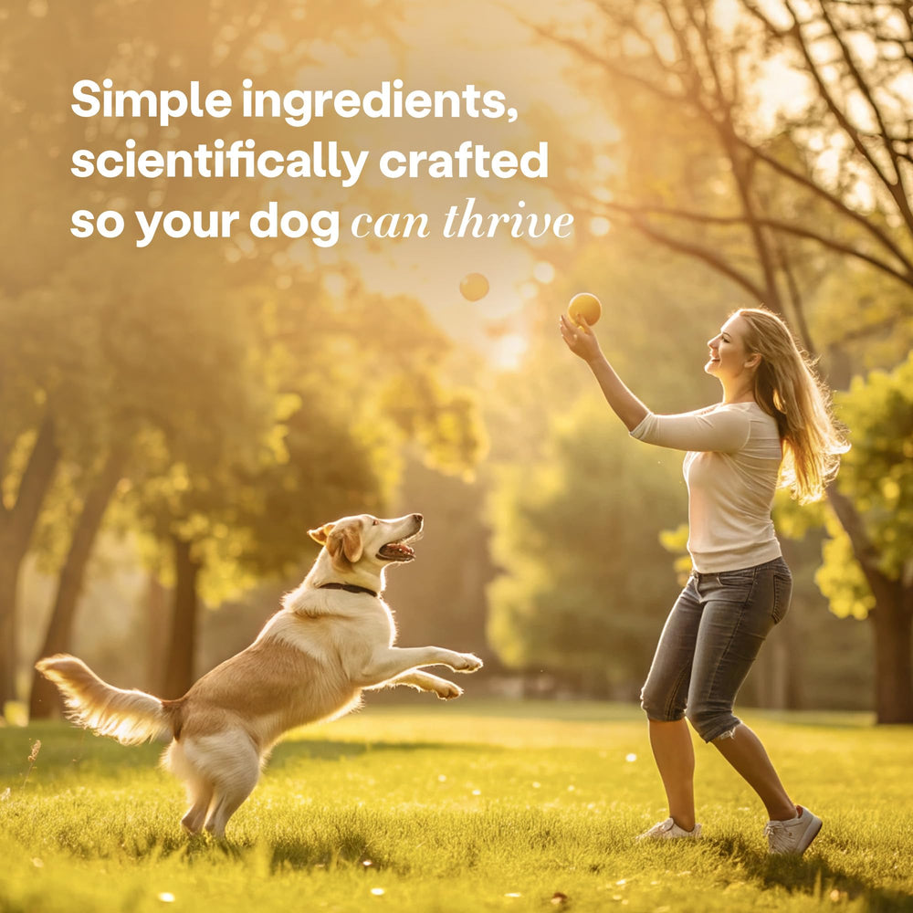 Emballage durable Wild Earth, friandises pour chiens respectueuses de l’environnement.