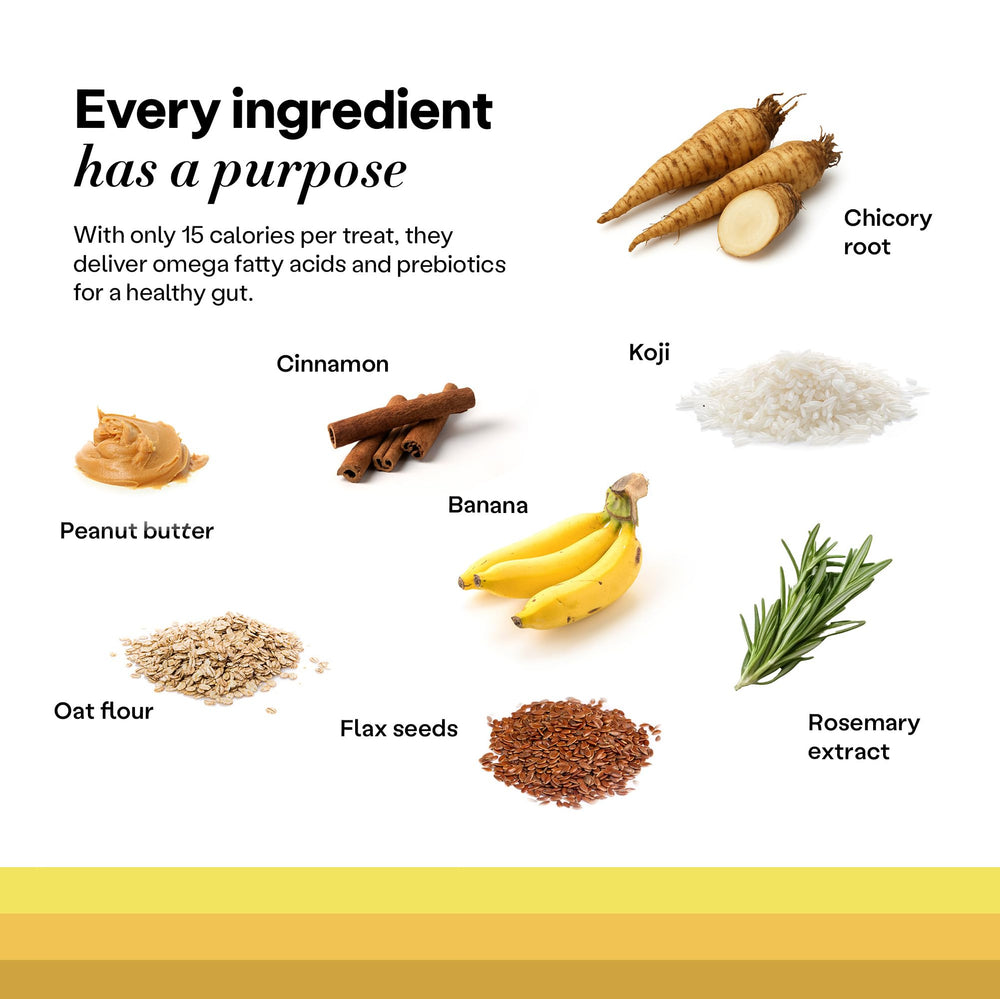 Saveur banane et cannelle des friandises Wild Earth, goût naturel.