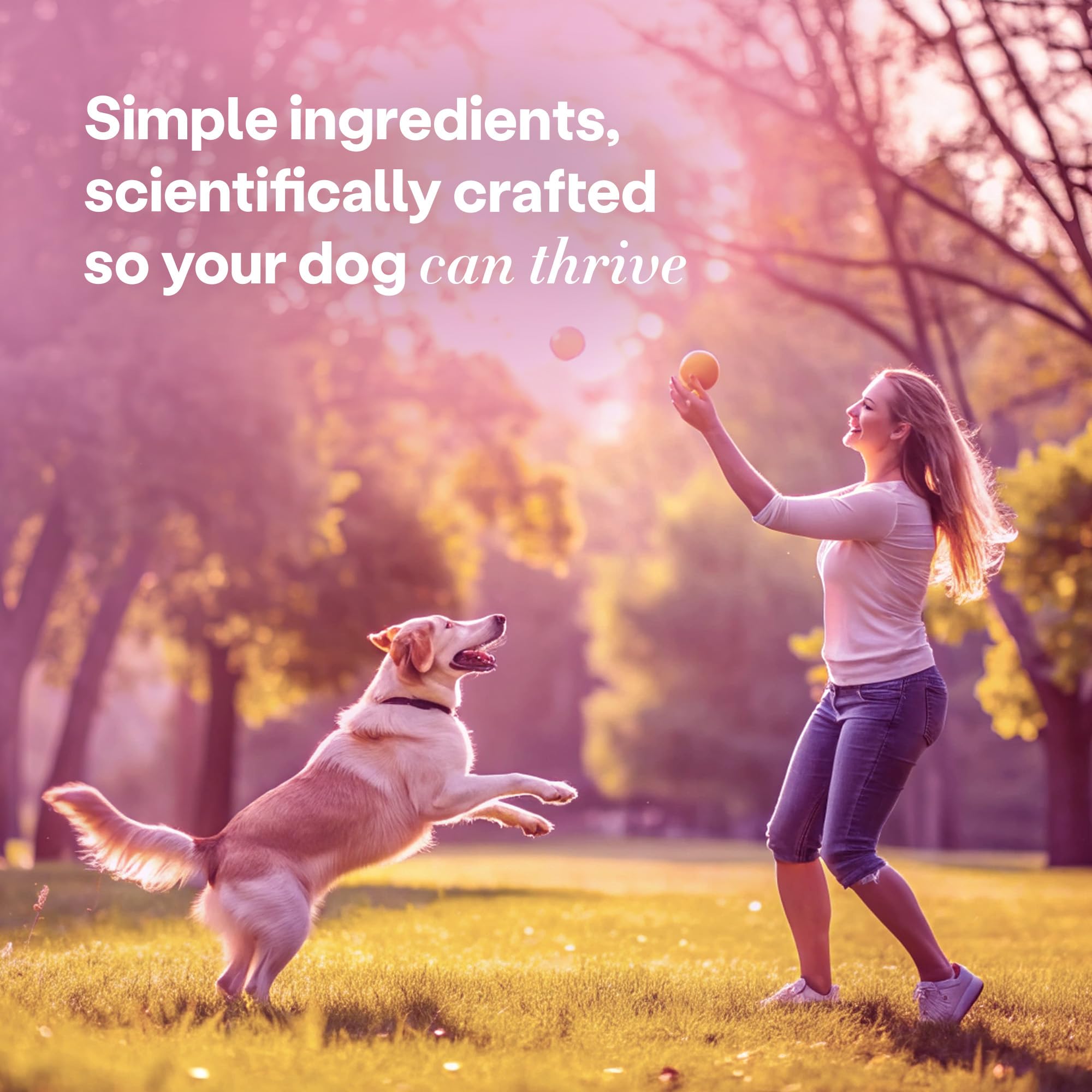 Sans additifs ni conservateurs, image démontrant pureté de la formule Wild Earth.