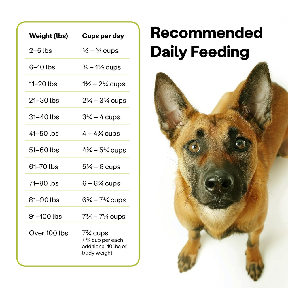 Wild Earth Sans blé sans lait – croquettes hypoallergéniques pour chiens sensibles.