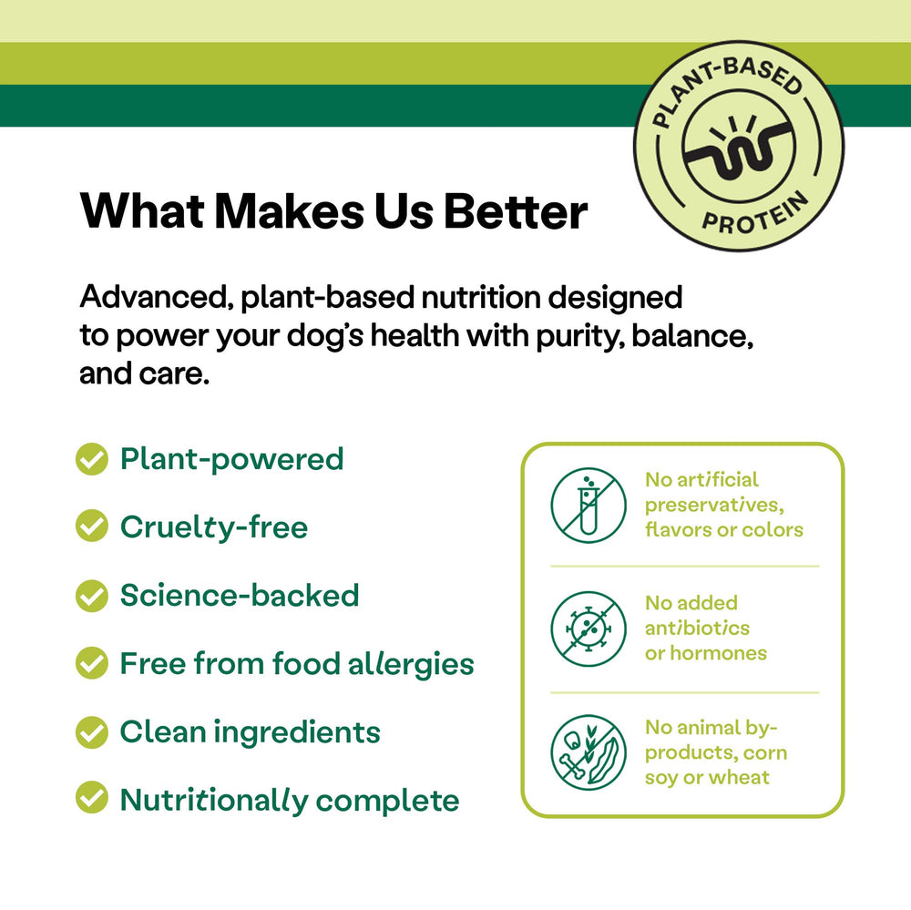 Wild Earth Superfood – avoine, épinards et potiron apportant nutriments.