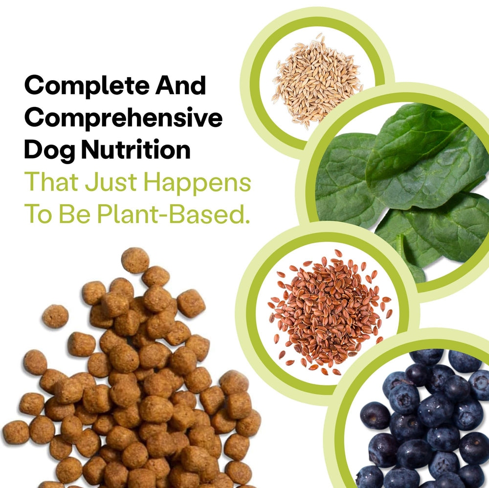 Wild Earth utilisation quotidienne chien adulte: repas sain et pratique.