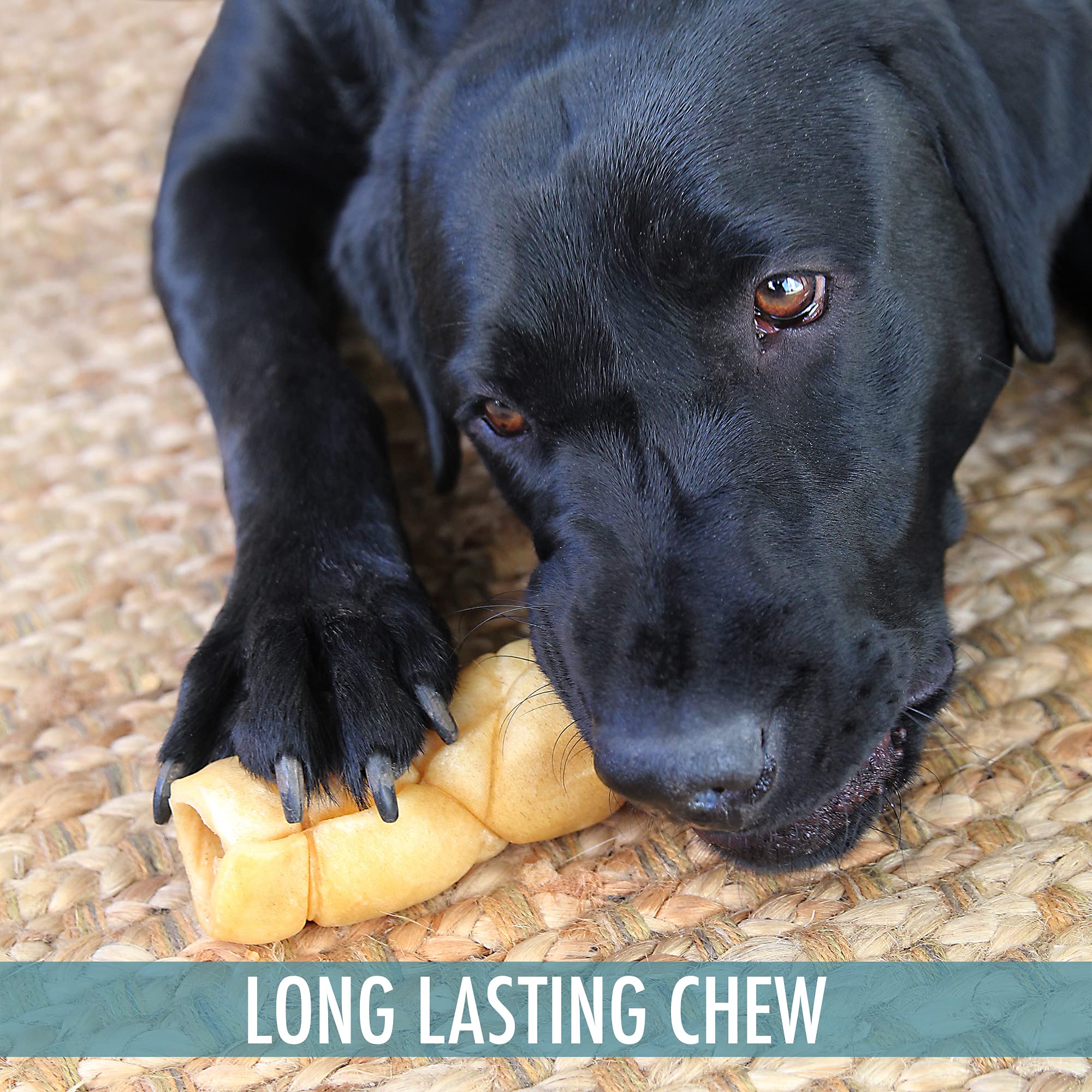 Chien croque des chips Wild Eats joue buffle eau