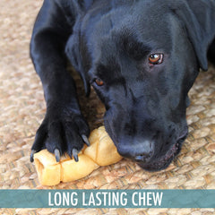Chien croque des chips Wild Eats joue buffle eau