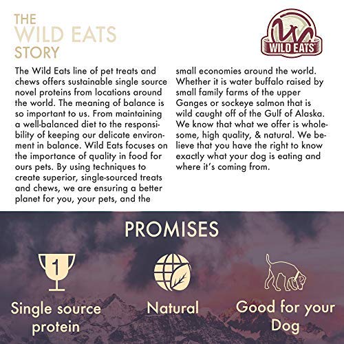 Wild Eats corne buffle pour chien, solution durable pour toutes tailles.