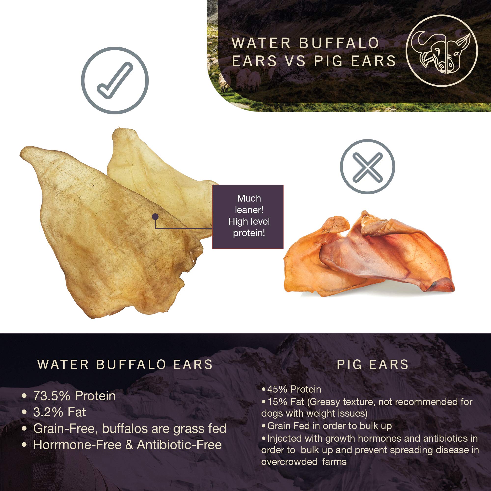 Wild Eats Oreille de buffle d eau: texture robuste, idéale pour chiens actifs.