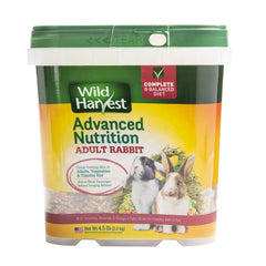 Wild Harvest dans bol: alimentation avancée pour lapin adulte, équilibre nutritionnel.