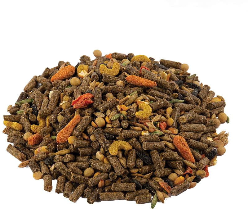 Lapin dégustant son repas Wild Harvest, appétence et équilibre nutritionnel.