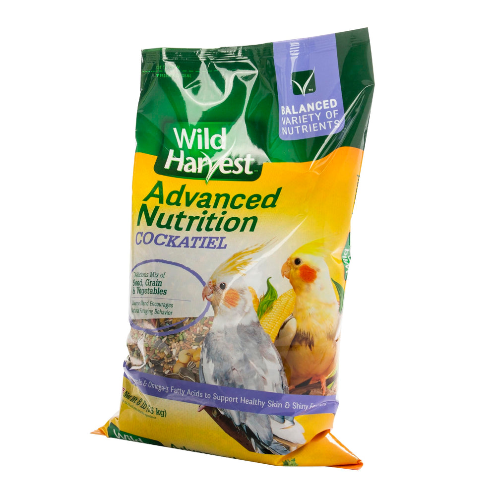 Wild Harvest cacatoes activite-forage: stimule l'exploration et l'engagement alimentaire.