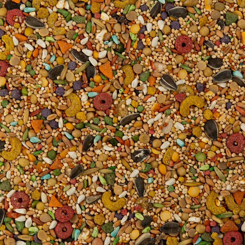 Wild Harvest cacatoes melange-variete-millet-avoine-carthame-tournesol: encourage l'exploration alimentaire et le comportement naturel.