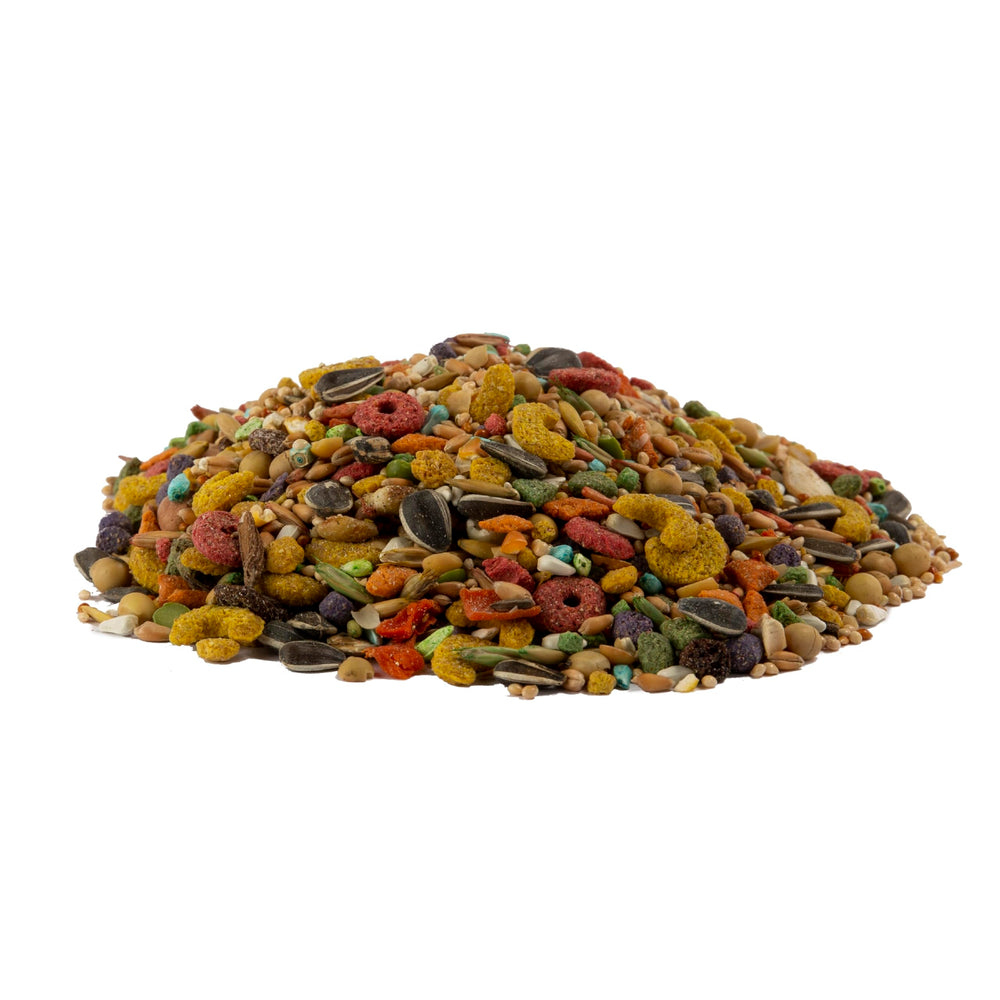 Wild Harvest cacatoes plumes-brillantes: nutriments clés pour des plumes éclatantes.
