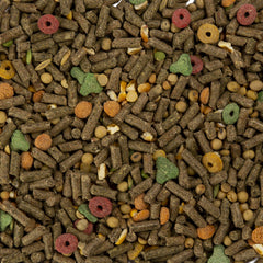 Mélange légumes Wild Harvest pour cobaye, stimulation du goût et de la recherche de nourriture.