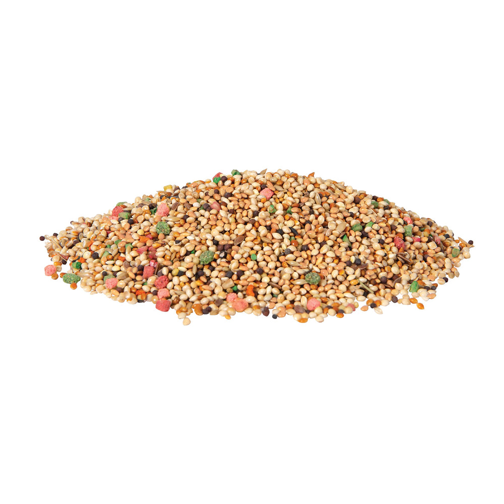 Wild Harvest Daily Blend: arôme orange, goût attrayant pour les oiseaux.