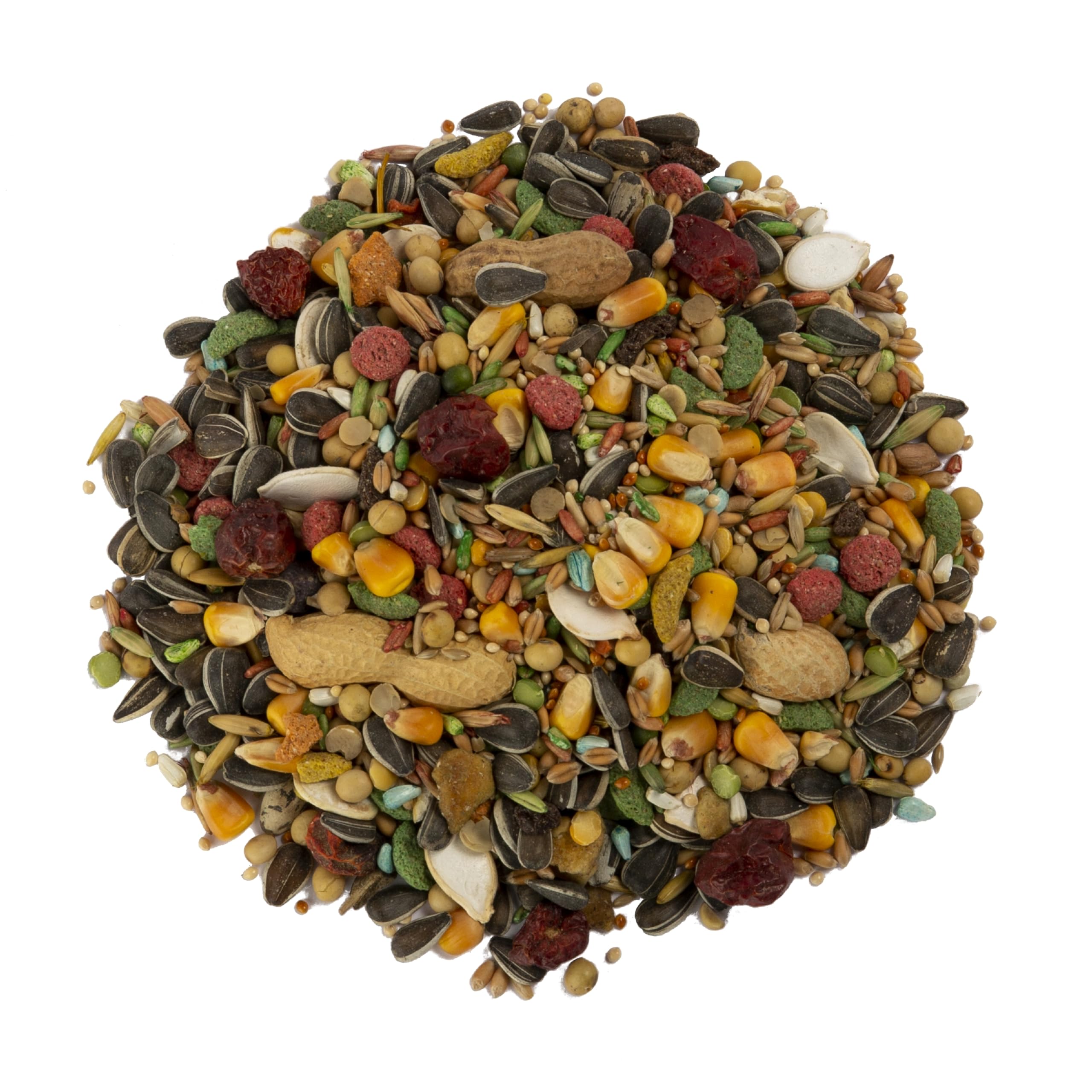 Wild Harvest Encouragement Forage Perroquet — encourage l’activité mentale et physique.