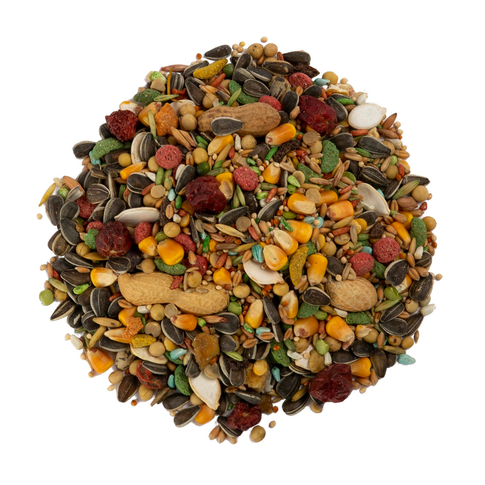 Wild Harvest Encouragement Forage Perroquet — encourage l’activité mentale et physique.