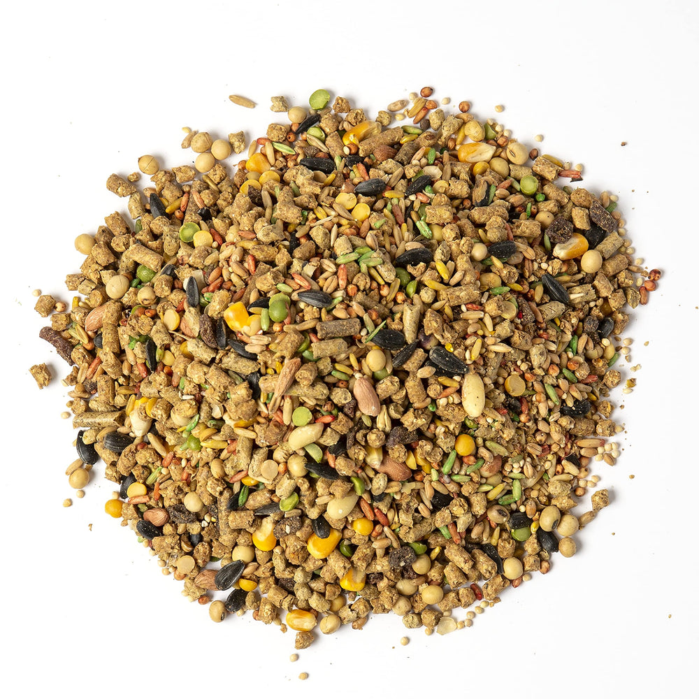 Wild Harvest Hamster et Gerbil Nutrition Avancée : dosage quotidien recommandé pour hamsters et gerbilles.