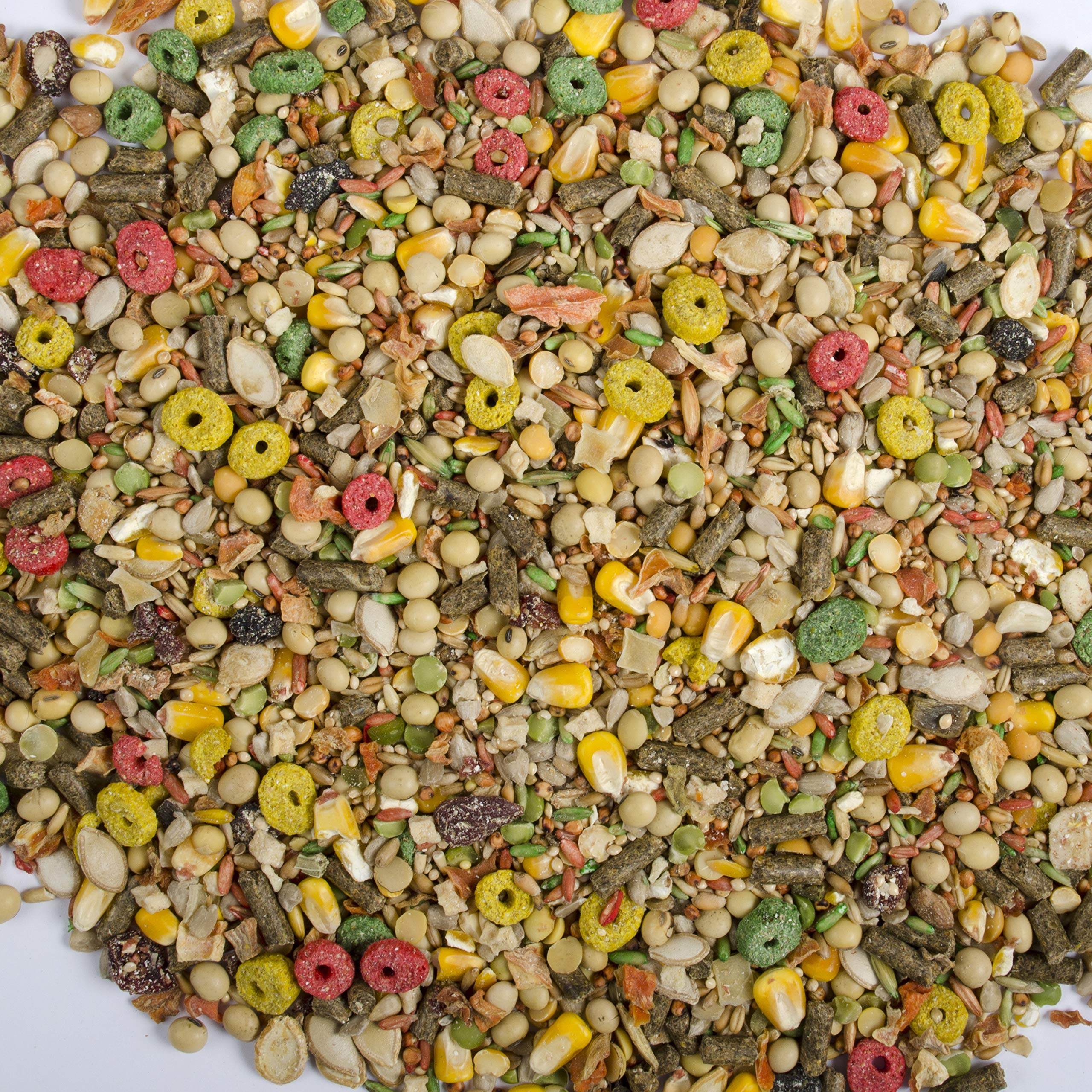 Wild Harvest Hamster et Gerbil Nutrition Avancée : mélange de céréales stimulant l'appétit et la curiosité.