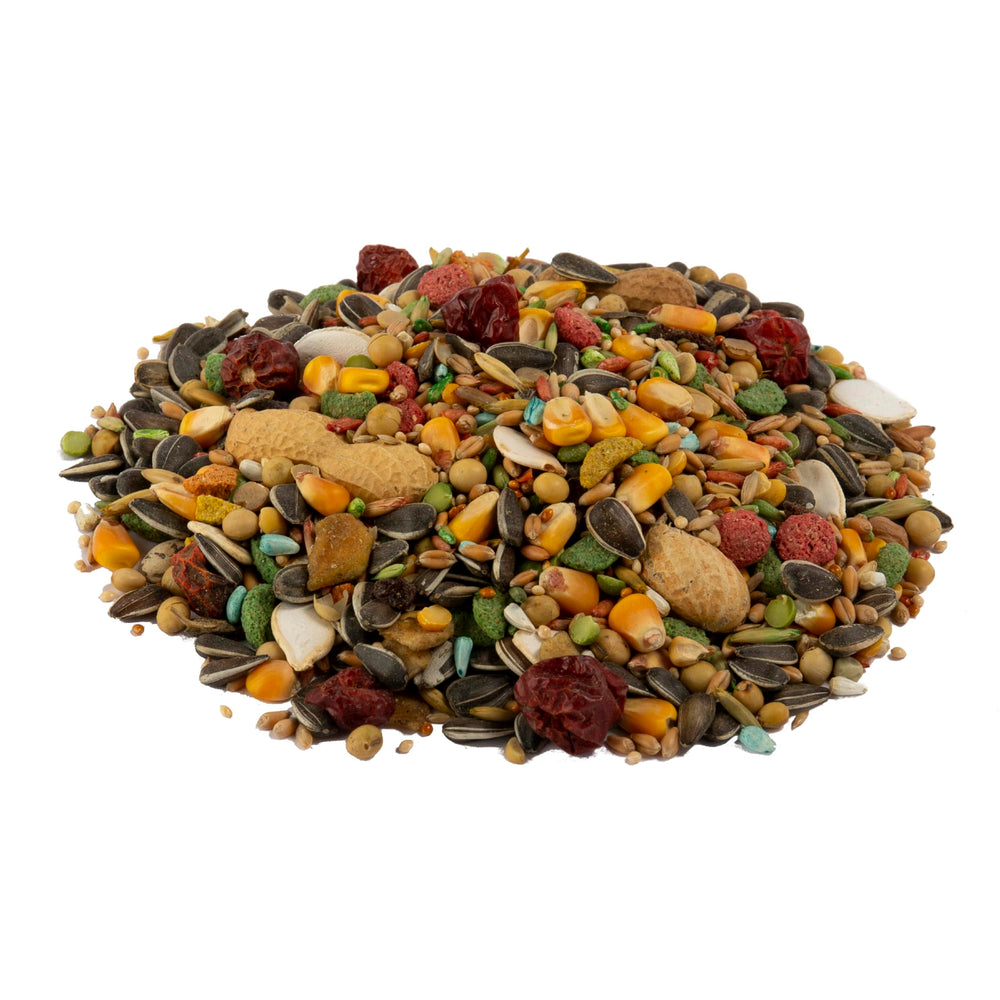 Wild Harvest Ingrédients Variés Perroquet — mélange riche pour stimuler le foraging.