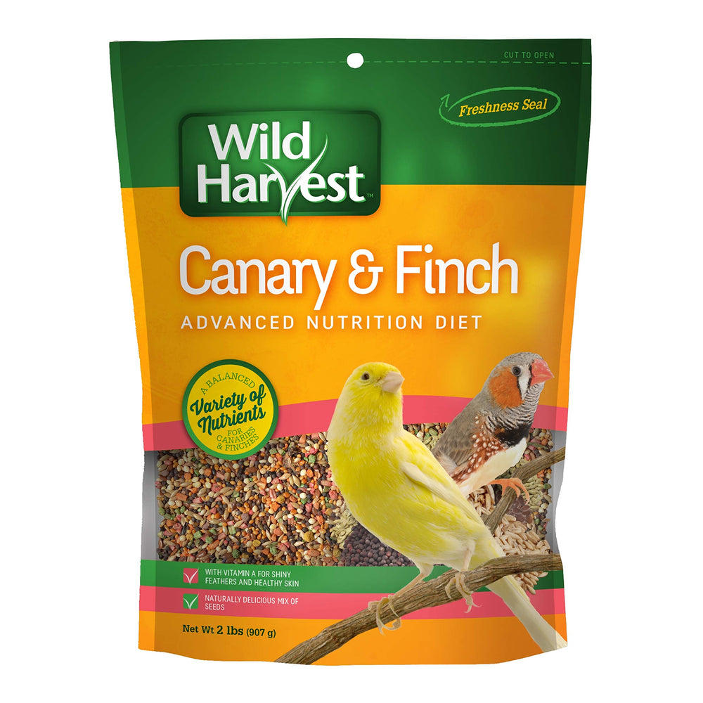 Wild Harvest mélangé de graines pour canaris et pinsons dans bol.
