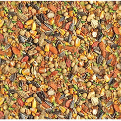 Wild Harvest Mélange Grains et Légumes Perroquet — variété favorable au goût et à la diversité.