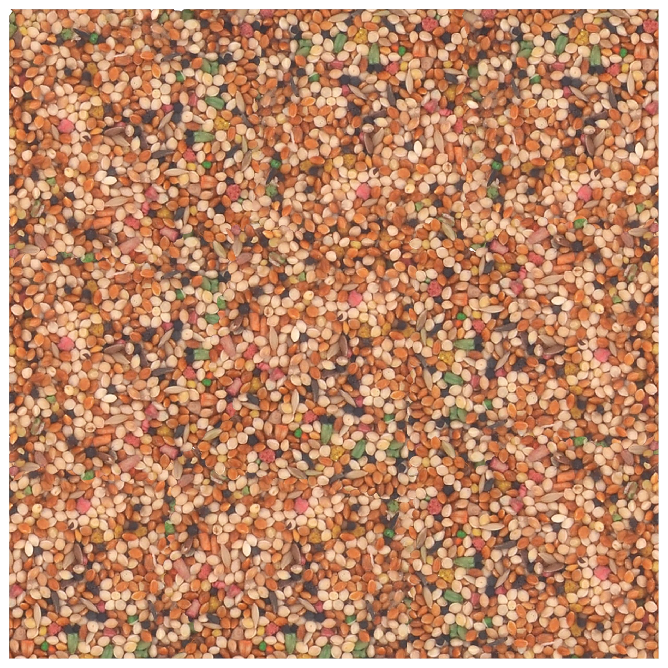 Millets rouges et blancs: Wild Harvest Mélange Universel pour Petits Oiseaux, goût attractif.