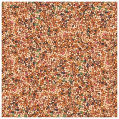 Millets rouges et blancs: Wild Harvest Mélange Universel pour Petits Oiseaux, goût attractif.