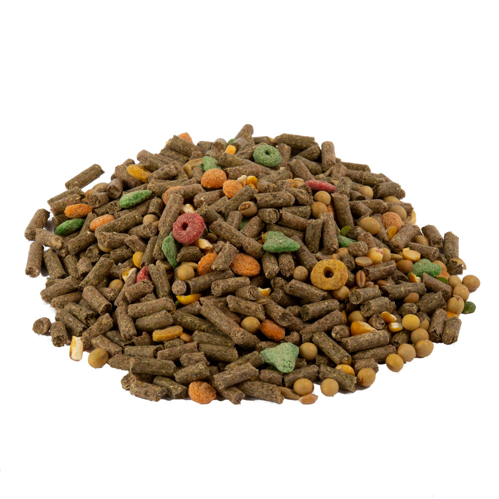 Wild Harvest Advanced Nutrition cobaye – encourage la recherche de nourriture naturelle.