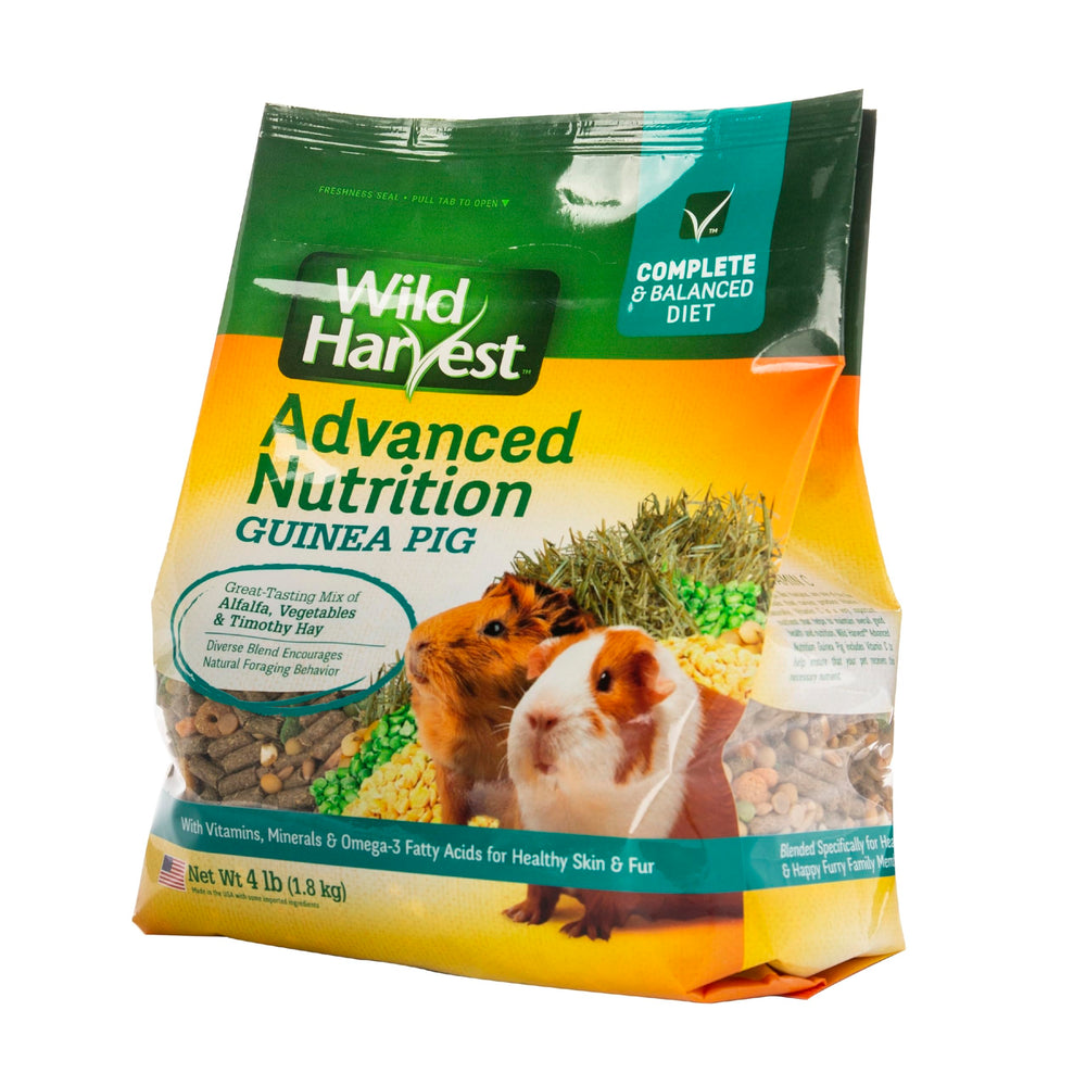 Wild Harvest Cochon d’Inde: enrichment foraging pour stimulation mentale.