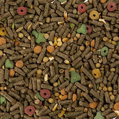 Wild Harvest Cochon d’Inde: légumes variés et verdure pour diversité nutritionnelle.