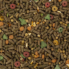 Wild Harvest Cochon d’Inde: légumes variés et verdure pour diversité nutritionnelle.