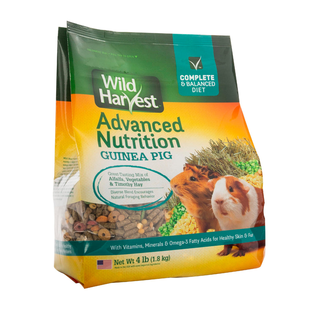 Wild Harvest Cochon d’Inde: portion quotidienne recommandée pour l’entretien.