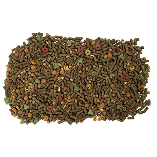 Wild Harvest Cochon d’Inde: vitamine C ajoutée pour le soutien nutritionnel quotidien.