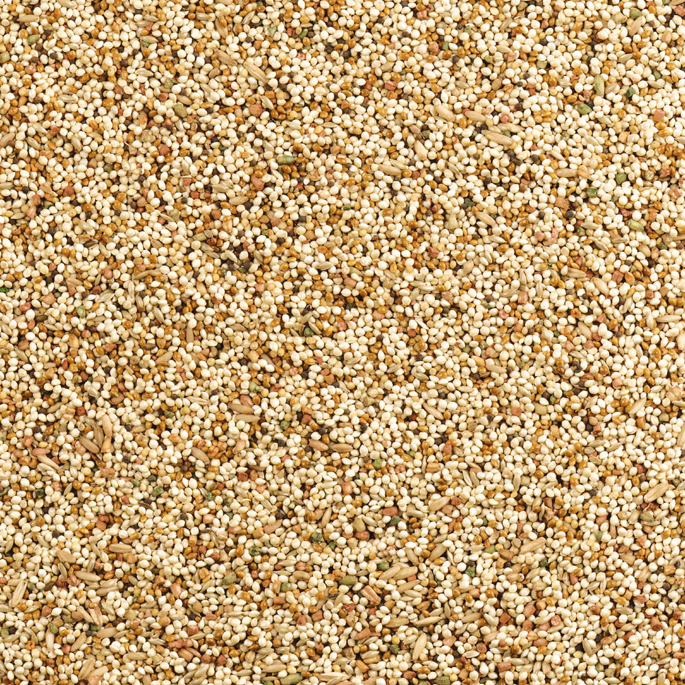 Wild Harvest Daily Blend Saveur Orange – arôme agréable qui stimule l'appétit des oiseaux.