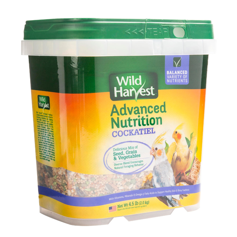 Wild Harvest variete-grains-pour-forage-cockatiel: stimulation mentale.