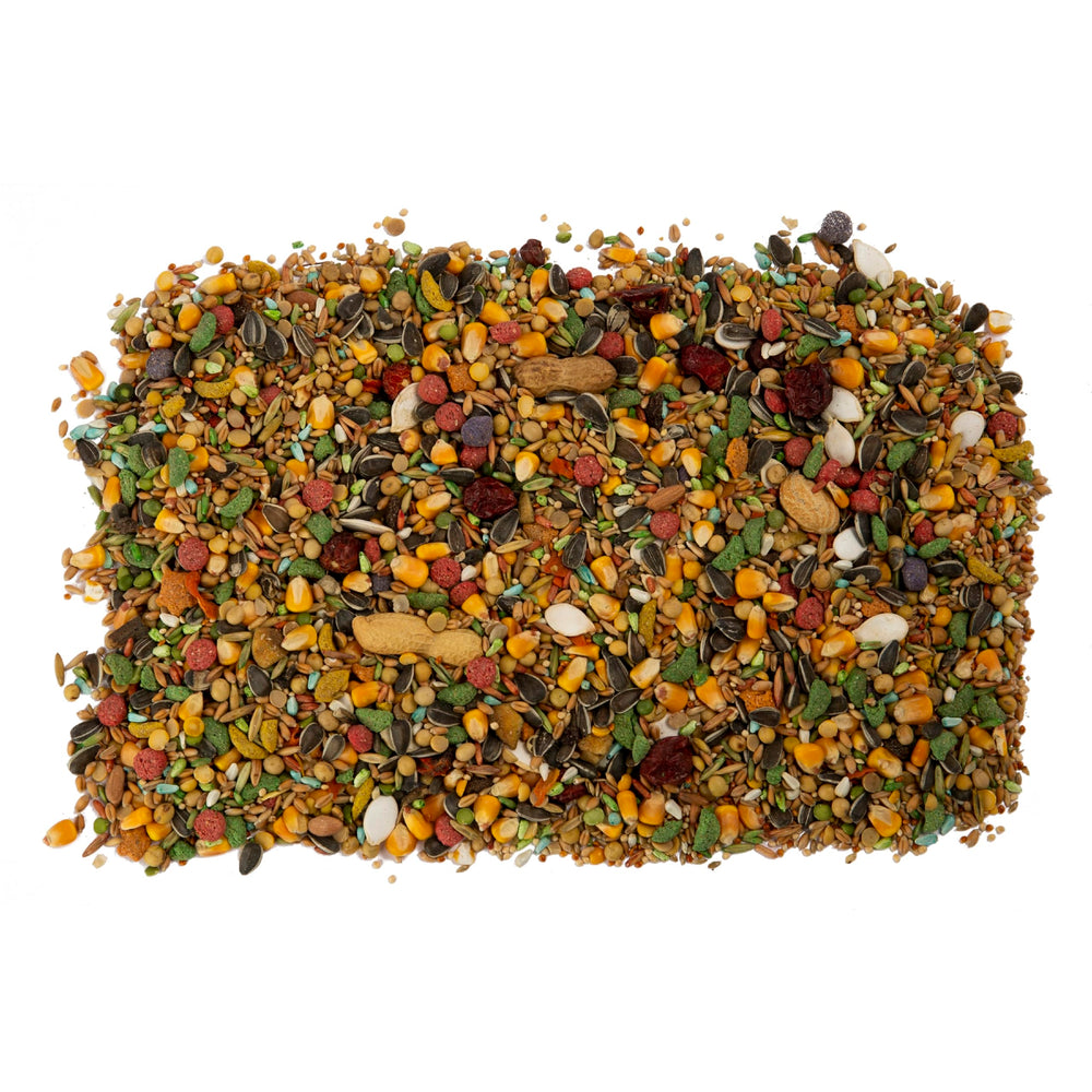 Wild Harvest Vitamines Minéraux Oméga3 Perroquet — peut soutenir peau et plumes saines.