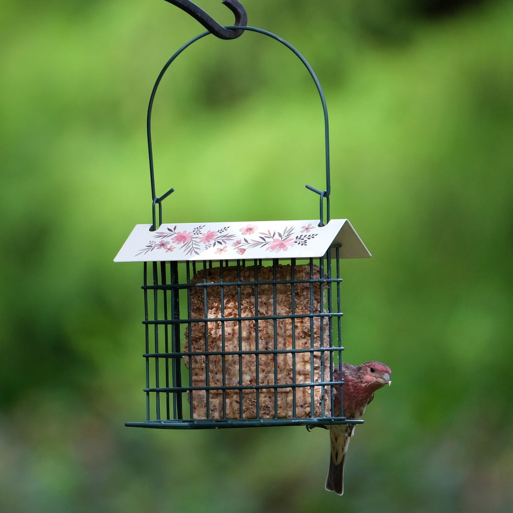 Wild Wings accessoire de jardin ajoute une touche décorative tout en supportant l’observation.