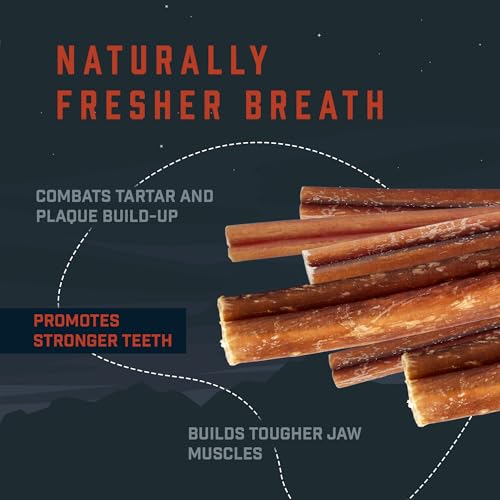 Wild Wolf goût naturel – saveur beef appréciée par les chiens.