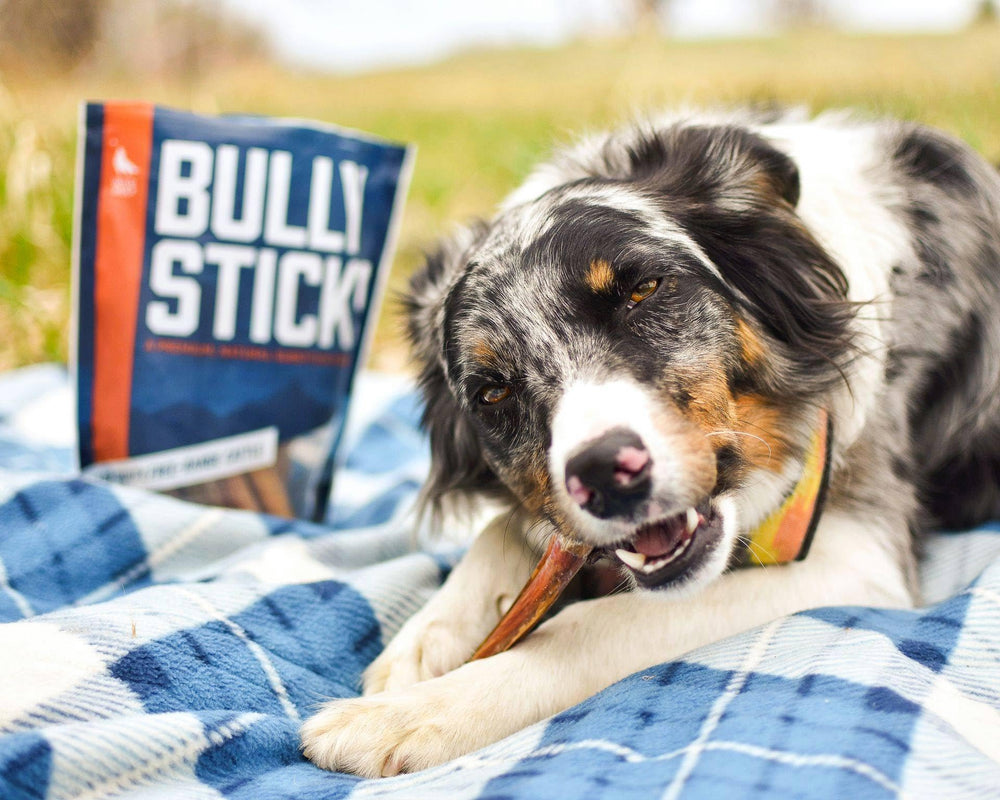 Wild Wolf protéine maigre – snack sain pour chiens actifs.