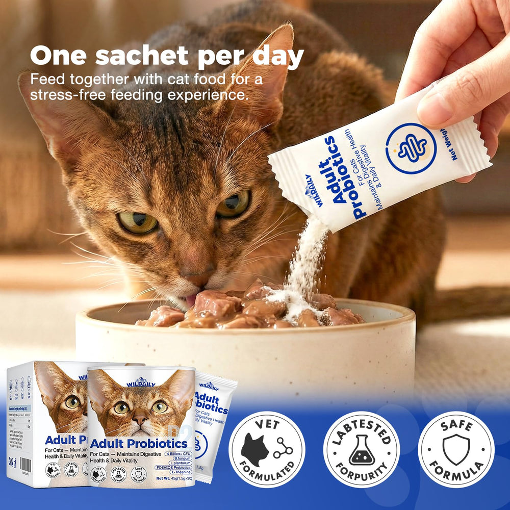 Wildaily Probiotiques chats – bénéfice potentiel pour un bien-être intestinal