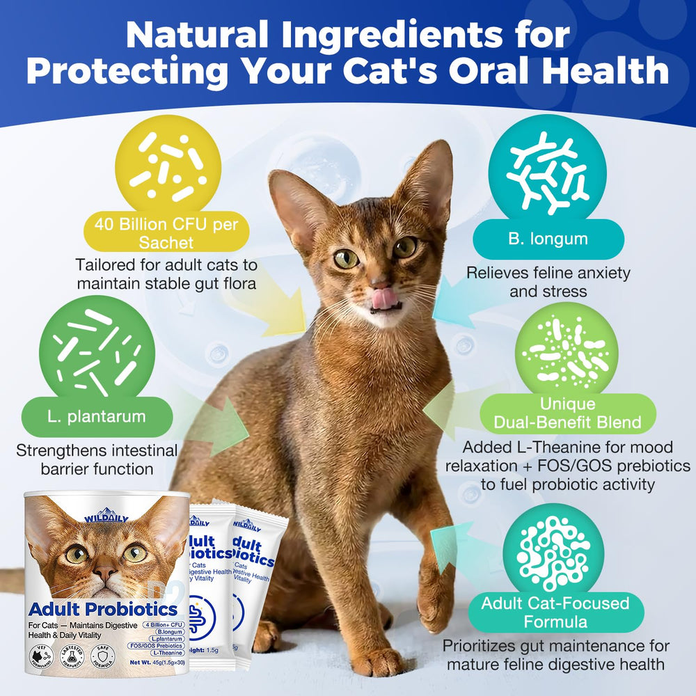 Wildaily Probiotiques chats – sachets faciles à doser pour le quotidien
