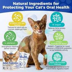 Wildaily Probiotiques chats – sachets faciles à doser pour le quotidien