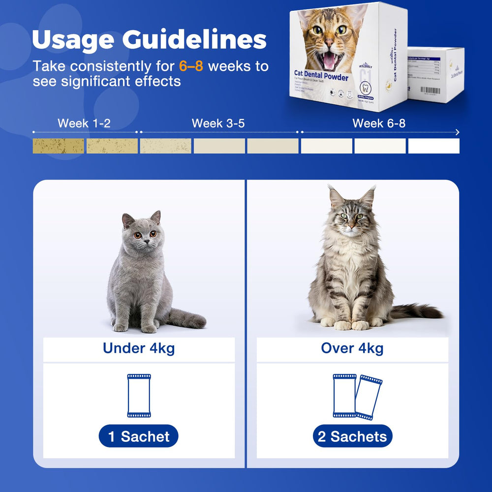 Wildaily Poudre Dentaire Chat — programme de 60 jours avec sachets pratiques.