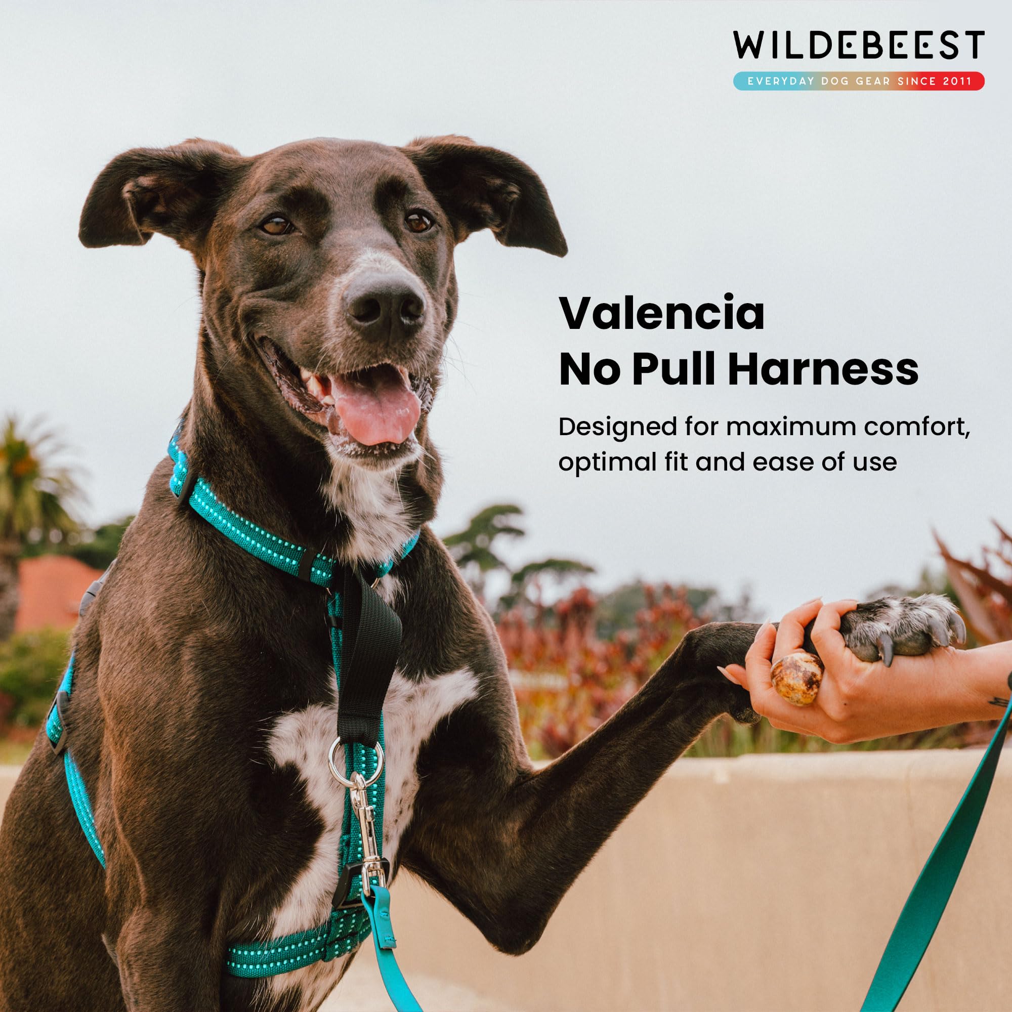 Harnais Wildebeest Valencia clip arrière pour promenades confortables